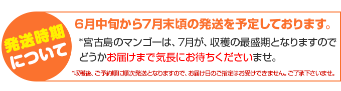 宮古島産 完熟アップルマンゴーをぜひ