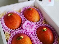 化粧箱入　マンゴー ４玉（1.4キロ前後)