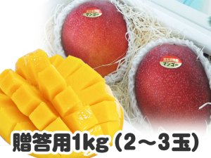 画像1: 贈答用マンゴー １キロ