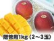 贈答用マンゴー １キロ