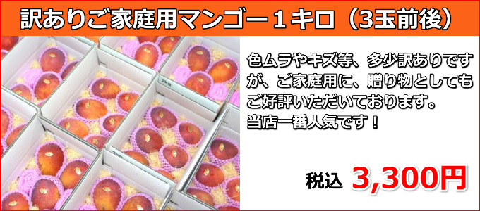 宮古島の生産者が丹精込めて育てたお勧めのマンゴー！