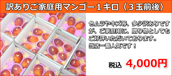 宮古島の生産者が丹精込めて育てたお勧めのマンゴー！
