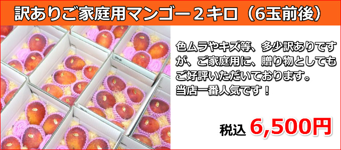 宮古島の生産者が丹精込めて育てたお勧めのマンゴー！