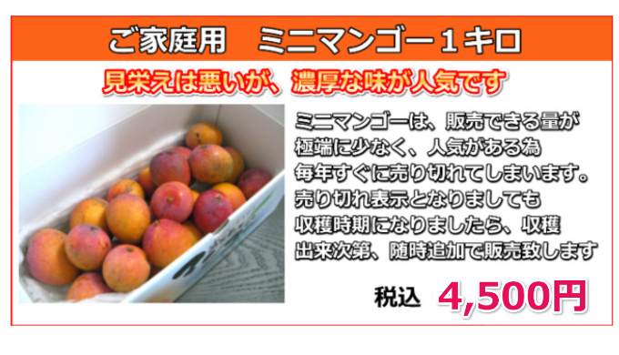 宮古島の生産者が丹精込めて育てたお勧めのマンゴー！