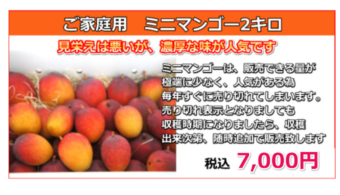 宮古島の生産者が丹精込めて育てたお勧めのマンゴー！