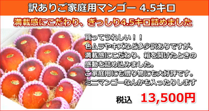 宮古島の生産者が丹精込めて育てたお勧めのマンゴー！