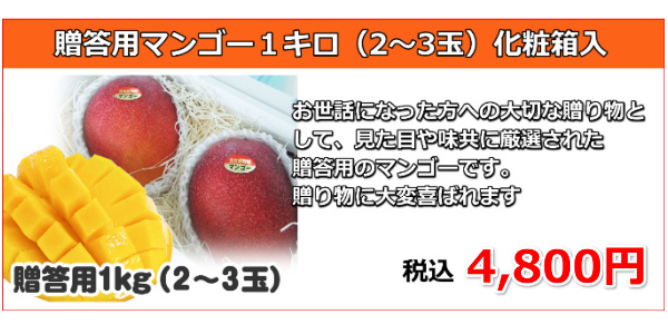 宮古島産 完熟アップルマンゴーをぜひ