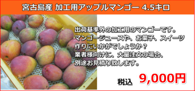 宮古島の生産者が丹精込めて育てたアップルマンゴー