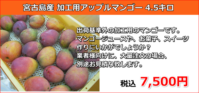 宮古島の生産者が丹精込めて育てたアップルマンゴー