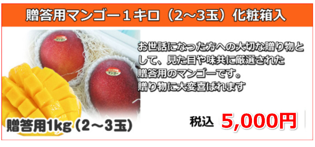 宮古島産 完熟アップルマンゴーをぜひ