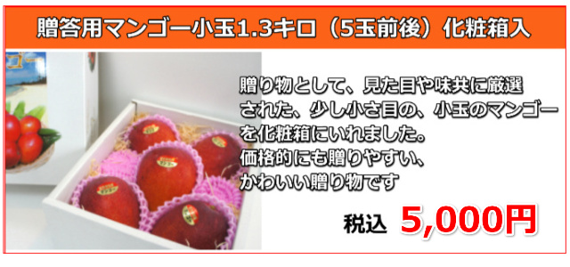 宮古島の生産者が丹精込めて育てたお勧めのマンゴー！