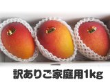 画像: ご家庭用マンゴー １キロ　化粧箱入