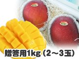 画像: 贈答用マンゴー １キロ