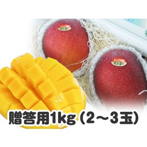 画像: 贈答用マンゴー １キロ
