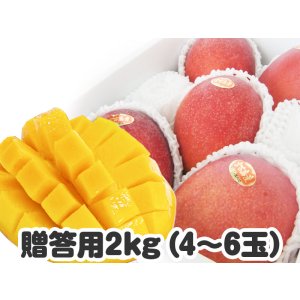画像: 贈答用マンゴー ２キロ
