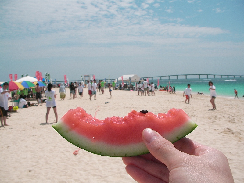 画像: 海開きで夏到来＼（*´∇｀*）／